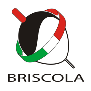 Briscola